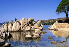 如何顺利办理门诊所需证件及流程详解