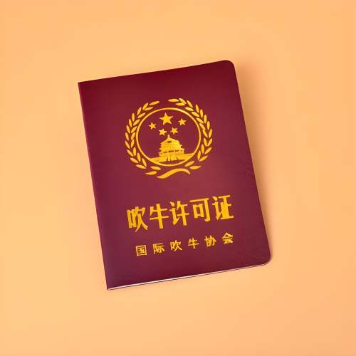 搞笑证件-吹牛证